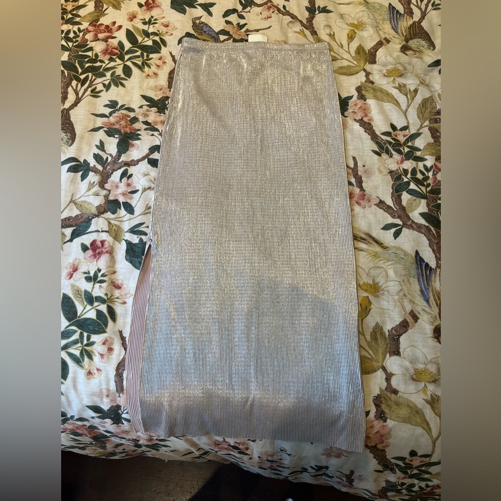 H&M Shinny Skirt